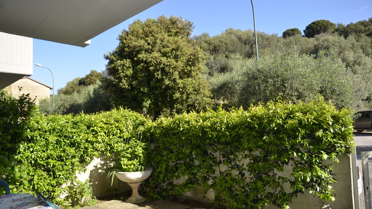 Photo of Outdoor in Castiglione della Pescaia