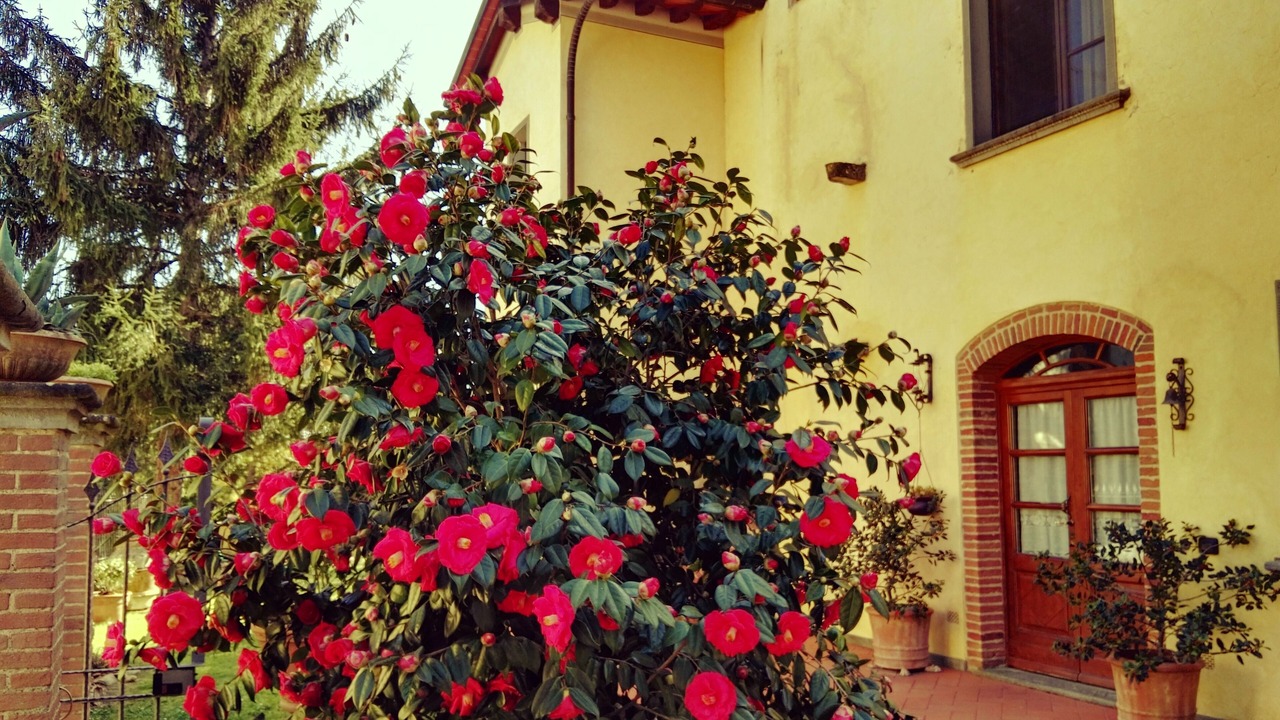Photo of Outdoor in Vinci