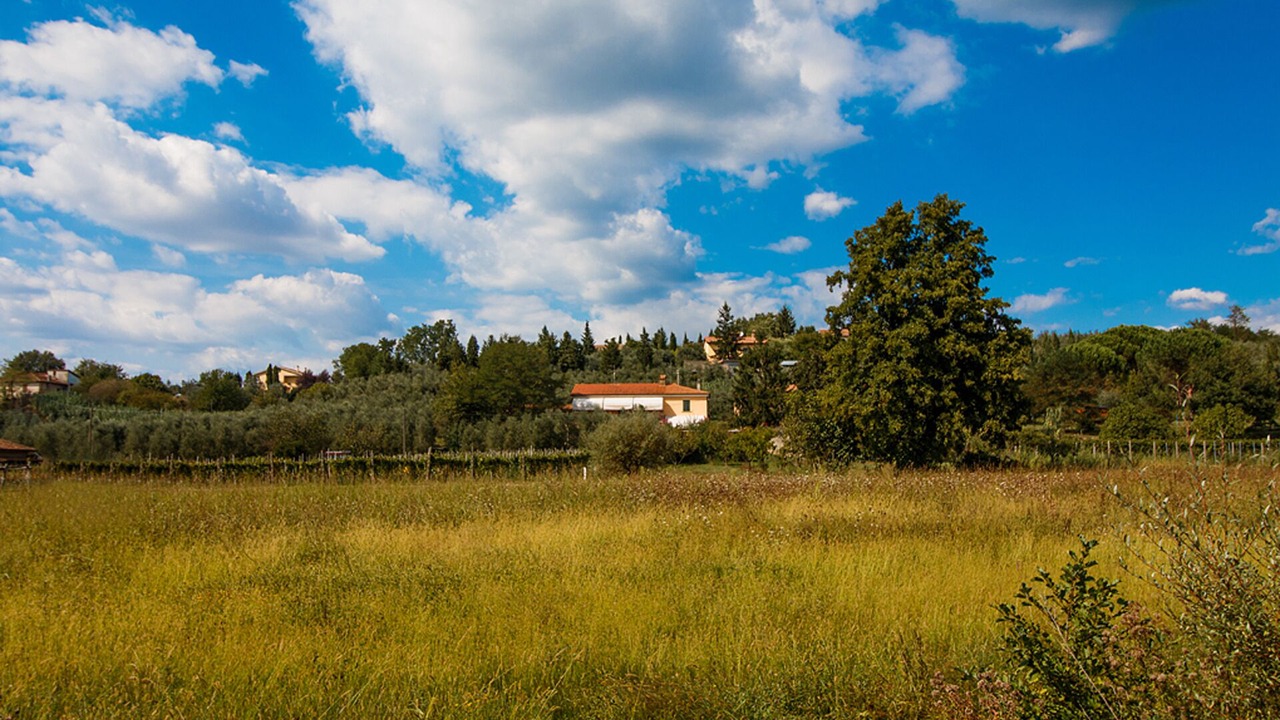 Photo of Outdoor in Vinci