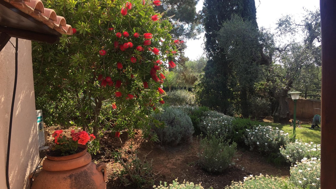 Photo of Outdoor in Orbetello