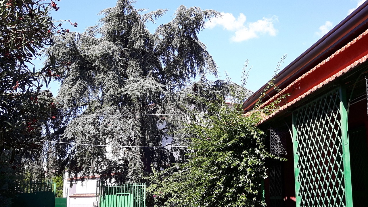 Photo of Outdoor in Torre Annunziata