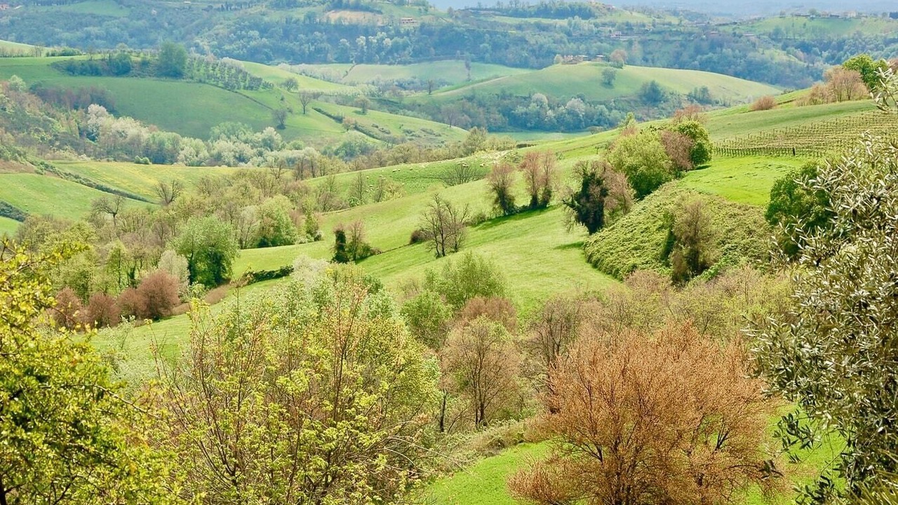 Photo of Outdoor in Magliano Sabina