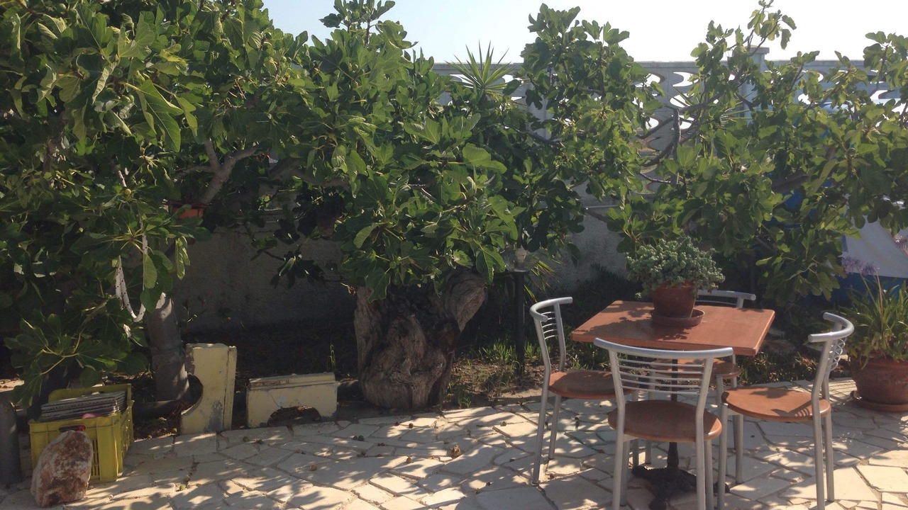 Photo of Outdoor in Margherita di Savoia