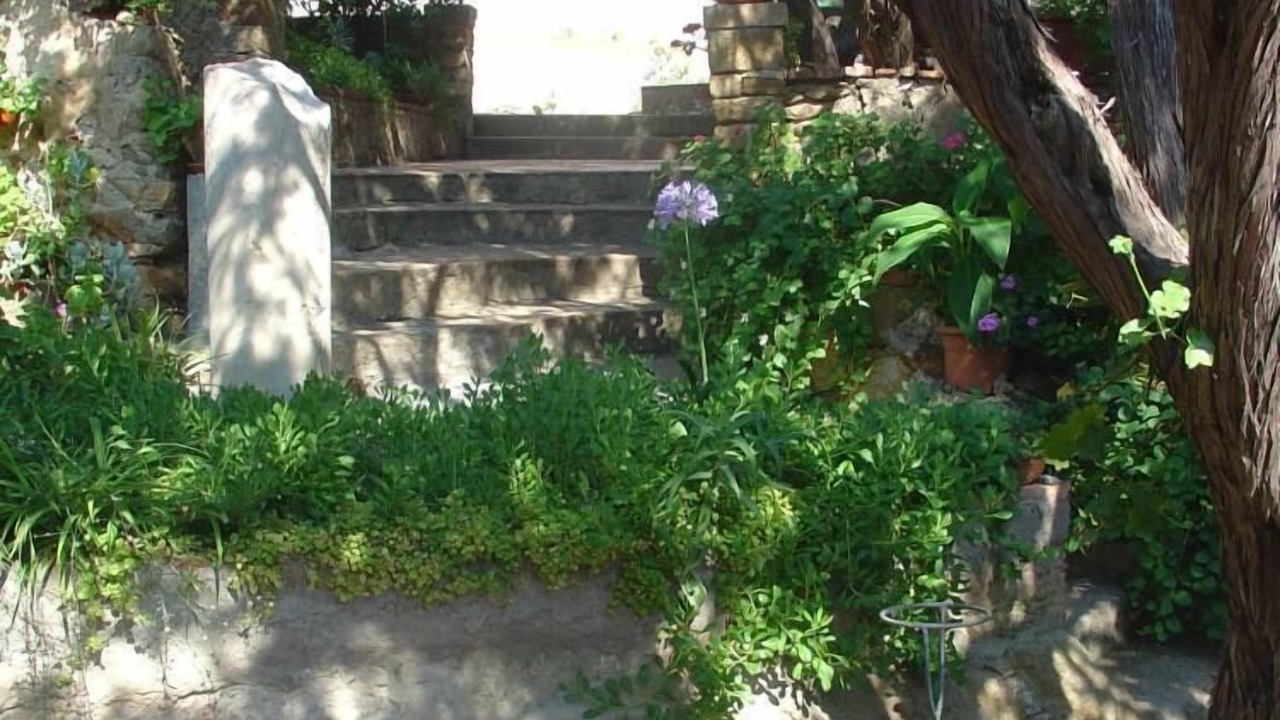 Photo of Outdoor in Giglio Campese