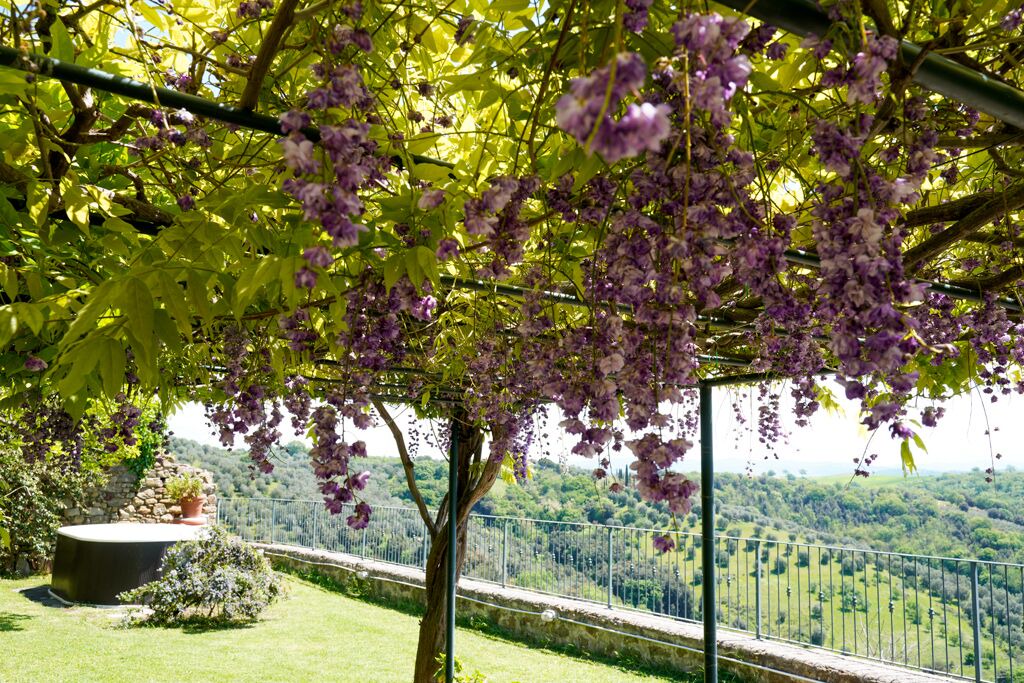 Photo of Outdoor in Pereta