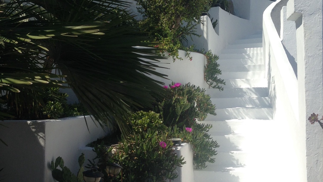 Photo of Outdoor in Ponza