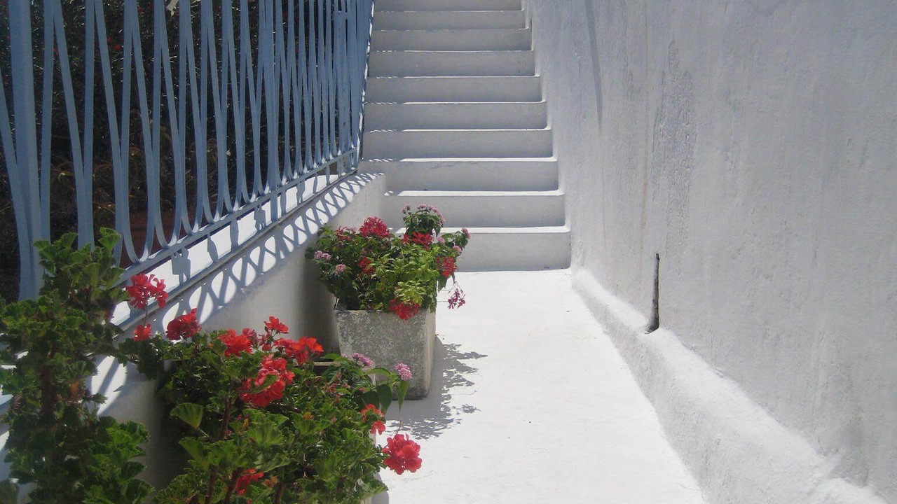 Photo of Outdoor in Ponza