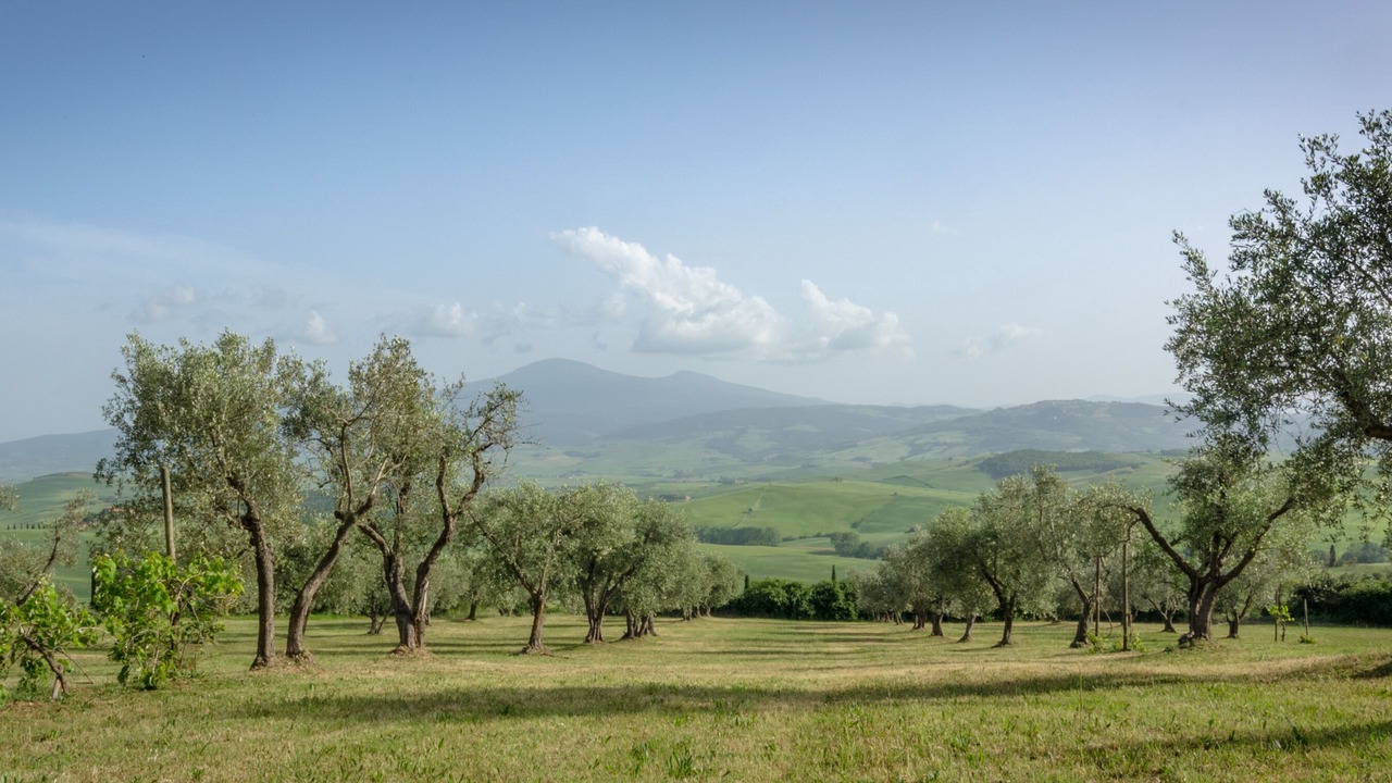 Photo of Outdoor in Pienza
