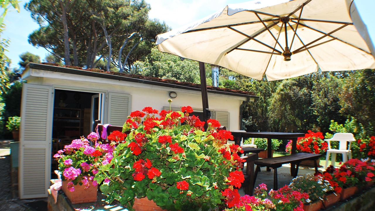 Photo of Outdoor in Orbetello