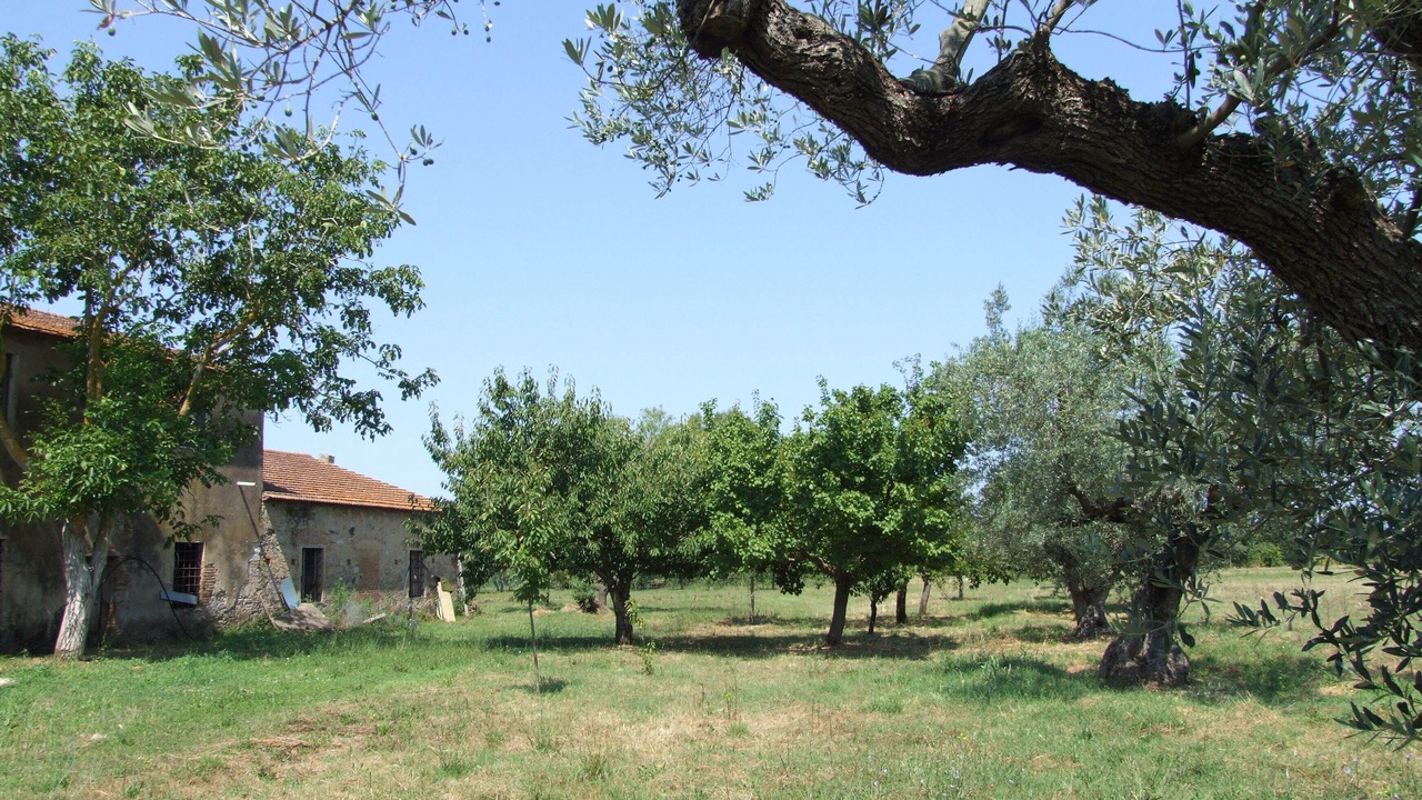 Photo of Outdoor in Donoratico