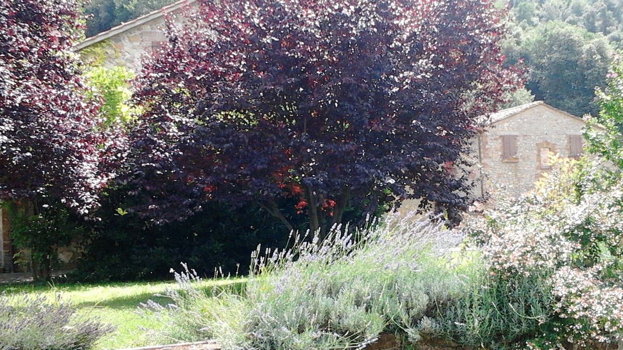Photo of Outdoor in Montoro