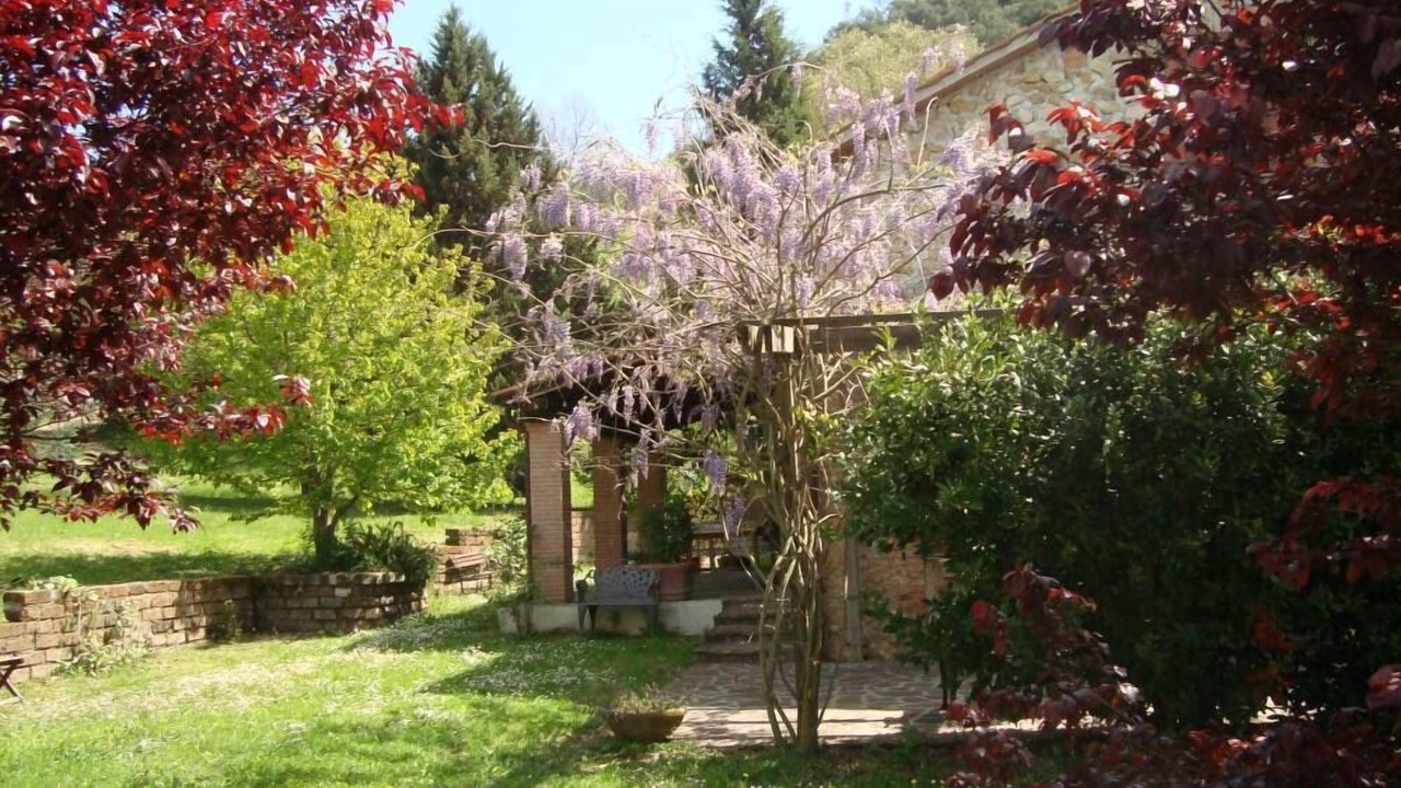 Photo of Outdoor in Montoro