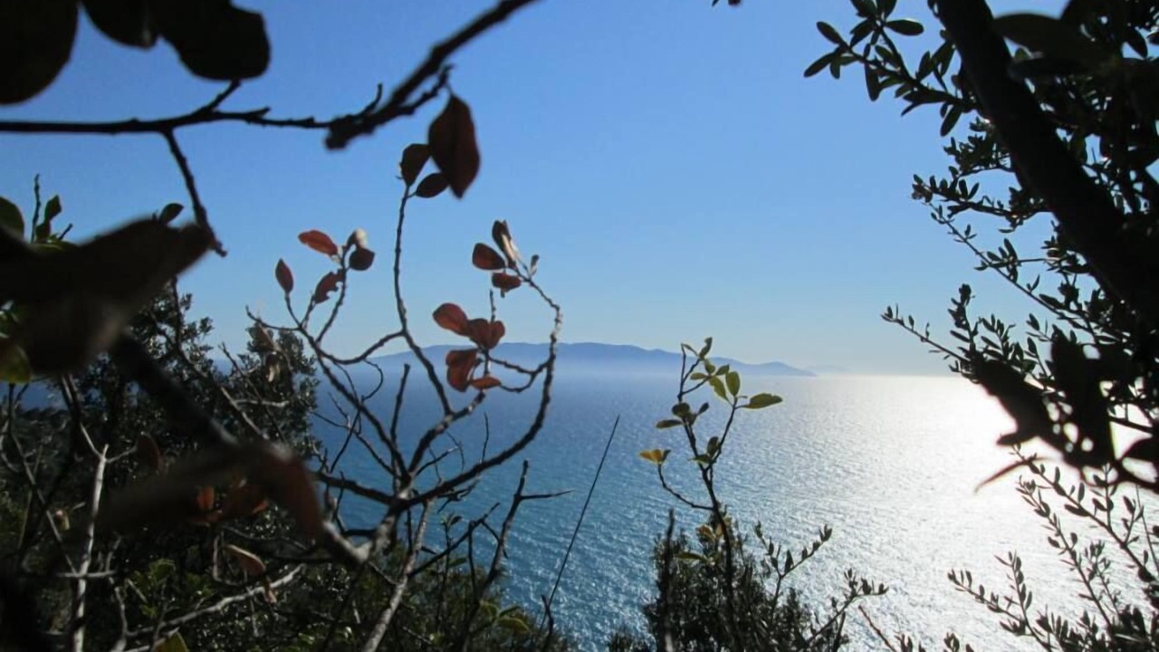 Photo of Others in Porto Santo Stefano