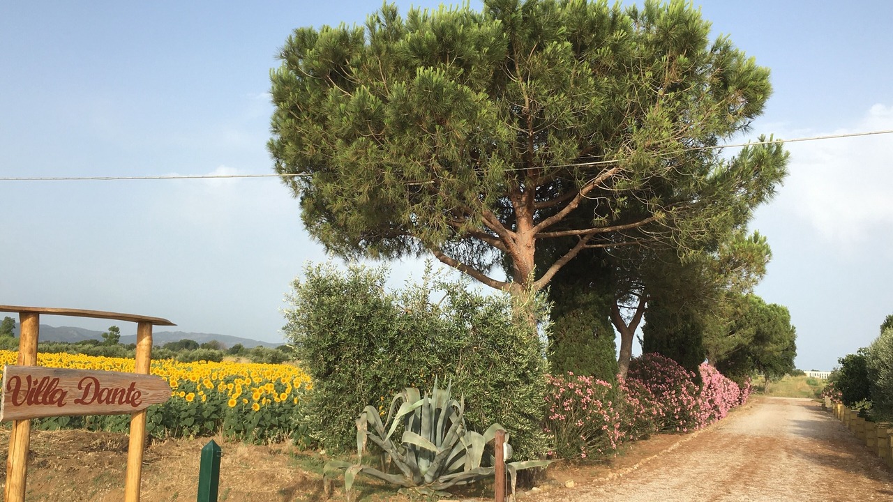 Photo of Outdoor in Orbetello