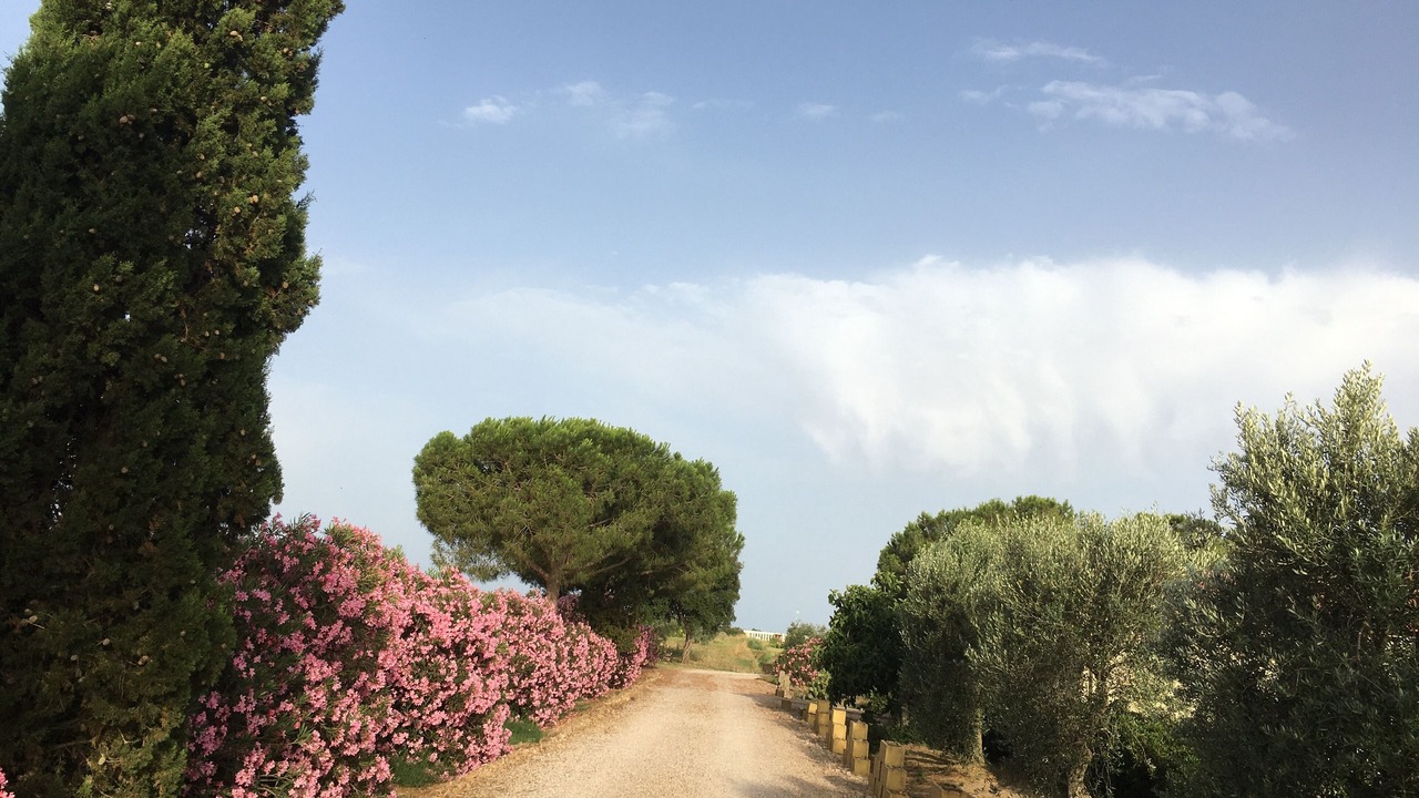 Photo of Others in Orbetello