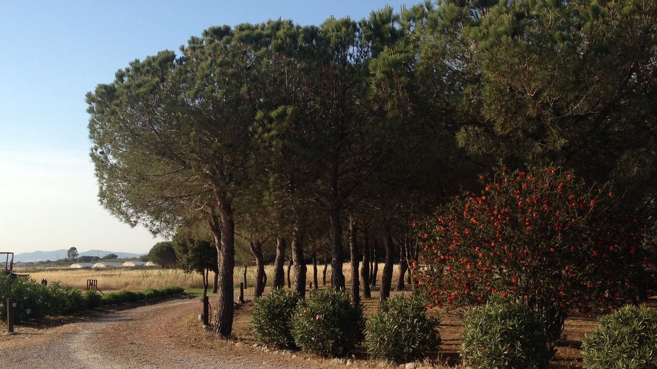 Photo of Outdoor in Orbetello