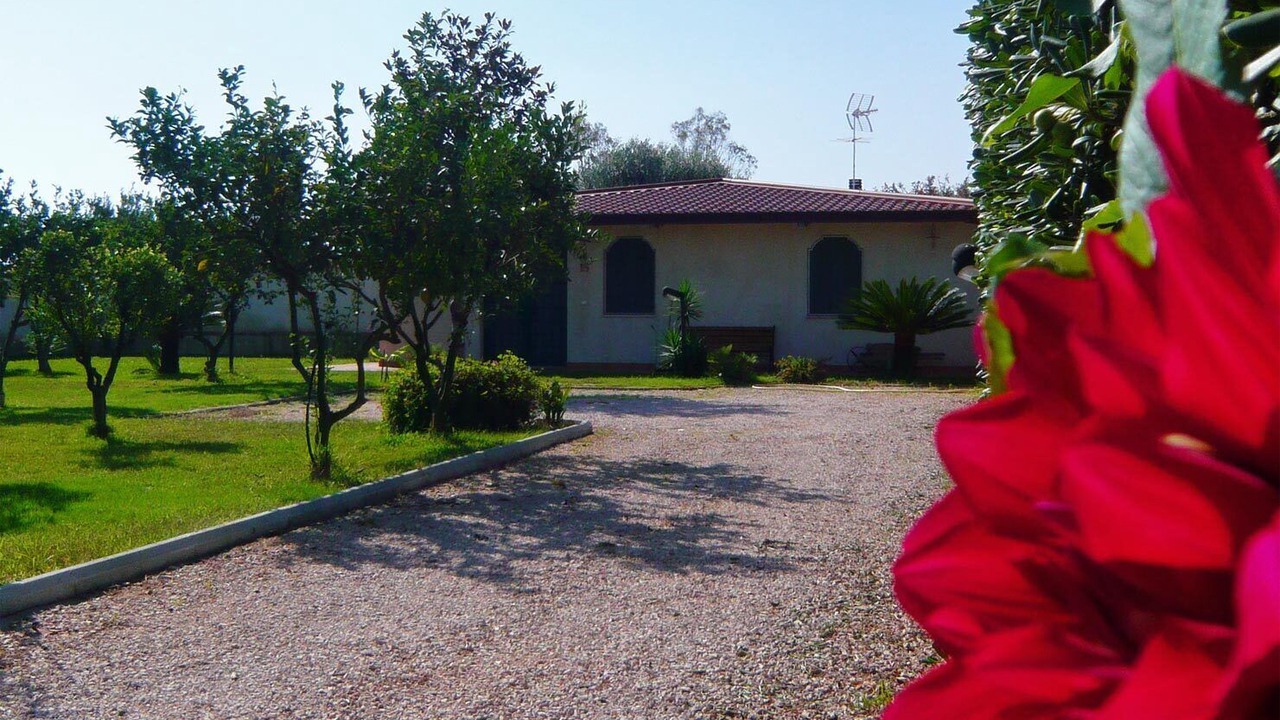 Photo of Others in Colonia Elena