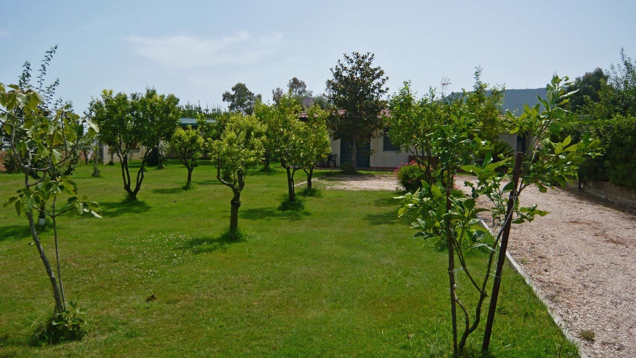 Photo of Others in Colonia Elena
