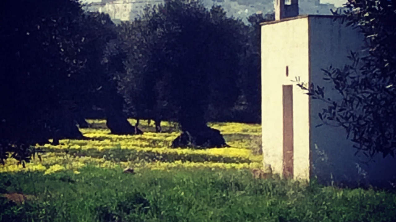 Photo of Others in Ostuni