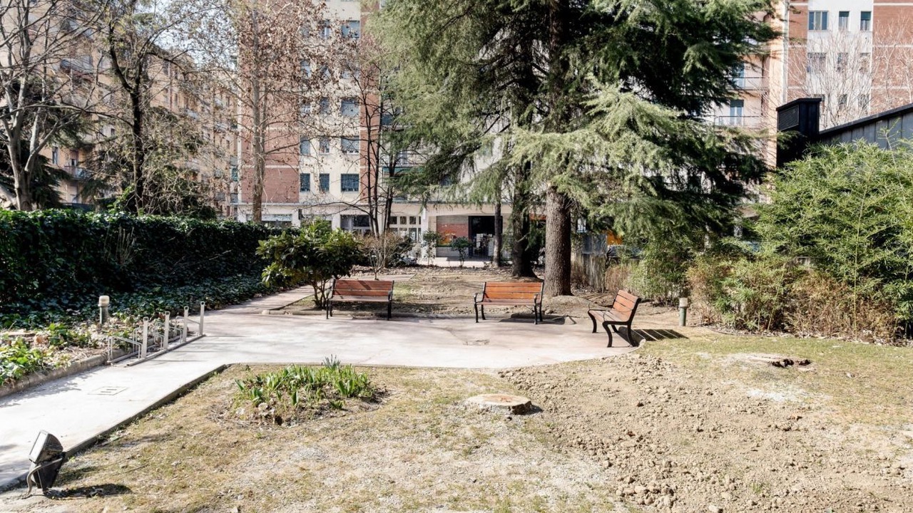 Photo of Outdoor in Saragozza-Porto