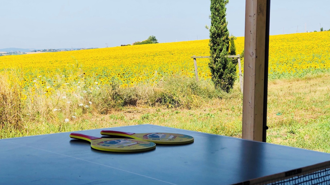 Photo of Outdoor in Paciano