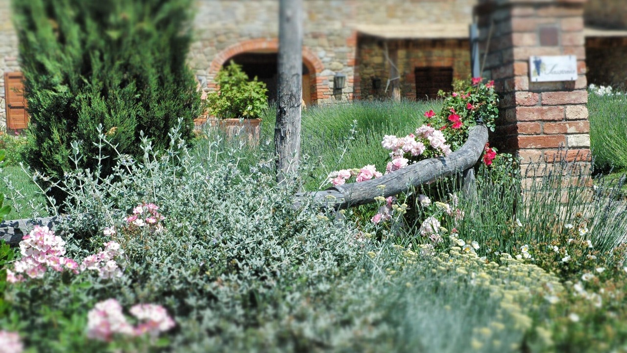 Photo of Outdoor in Paciano