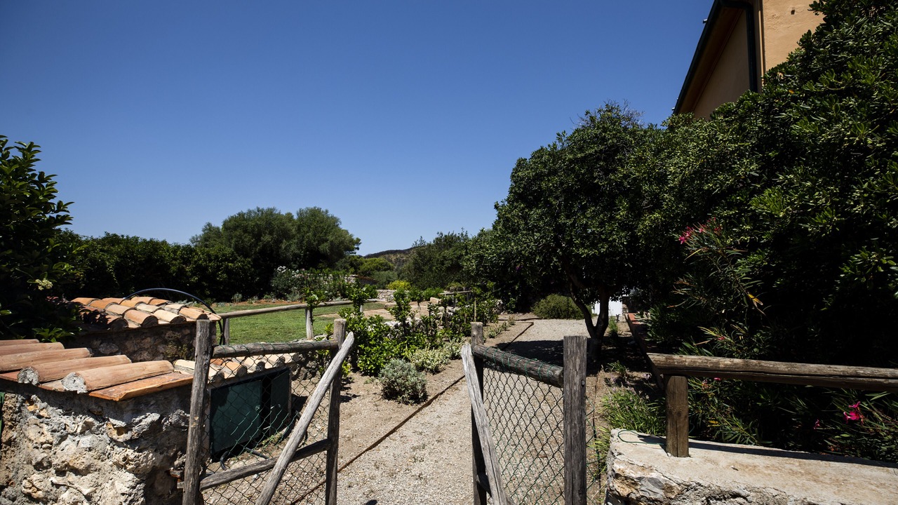 Photo of Outdoor in Ansedonia