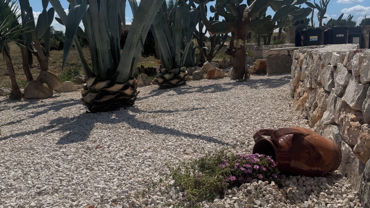Photo of Outdoor in Ostuni