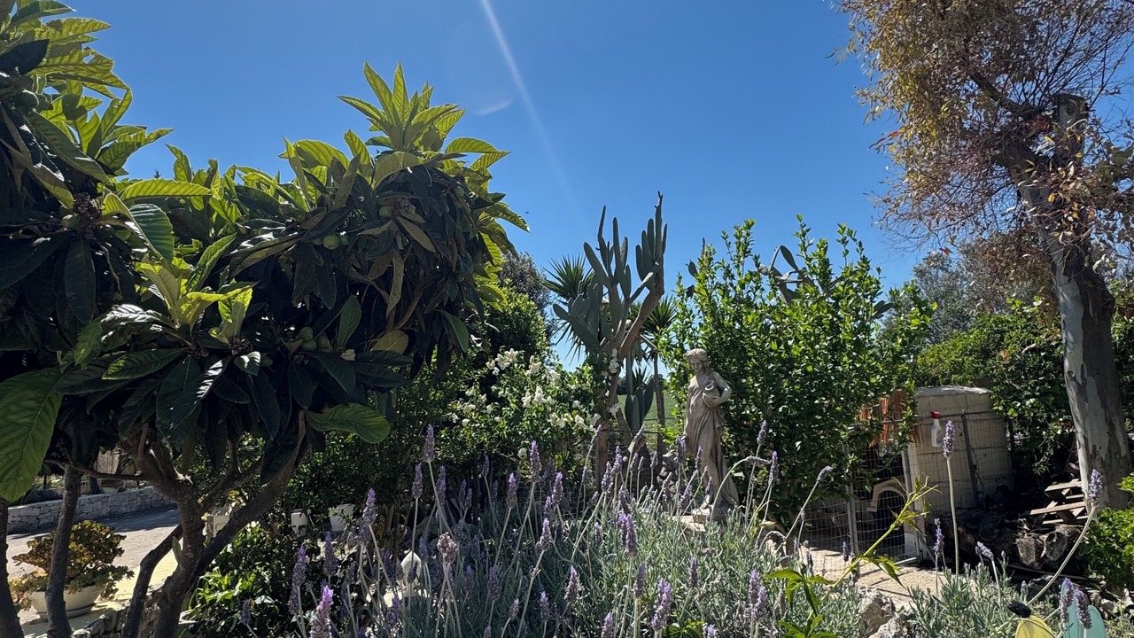 Photo of Outdoor in Ostuni