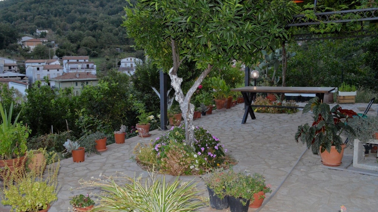 Photo of Outdoor in Licusati