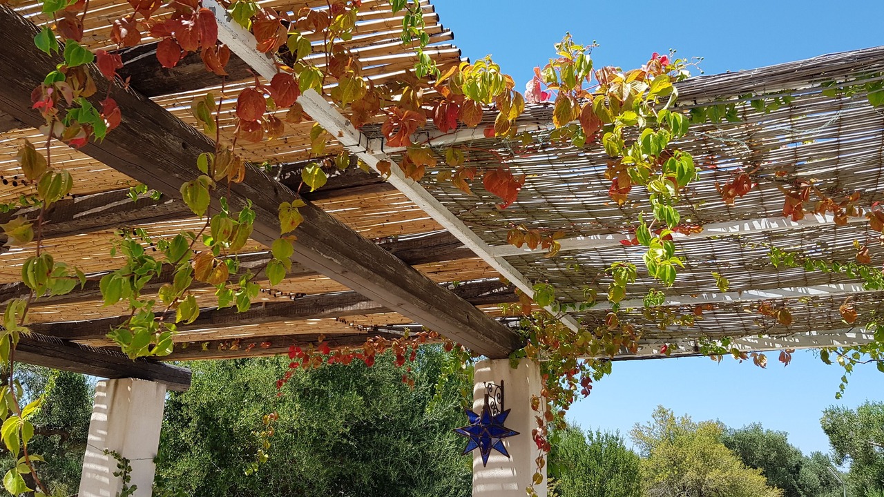 Photo of Outdoor in Ostuni