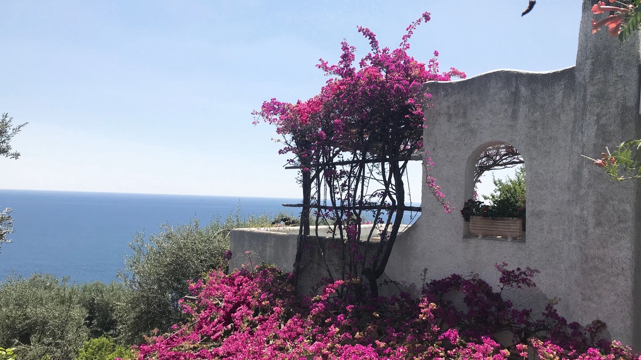 Photo of Outdoor in Conca dei Marini