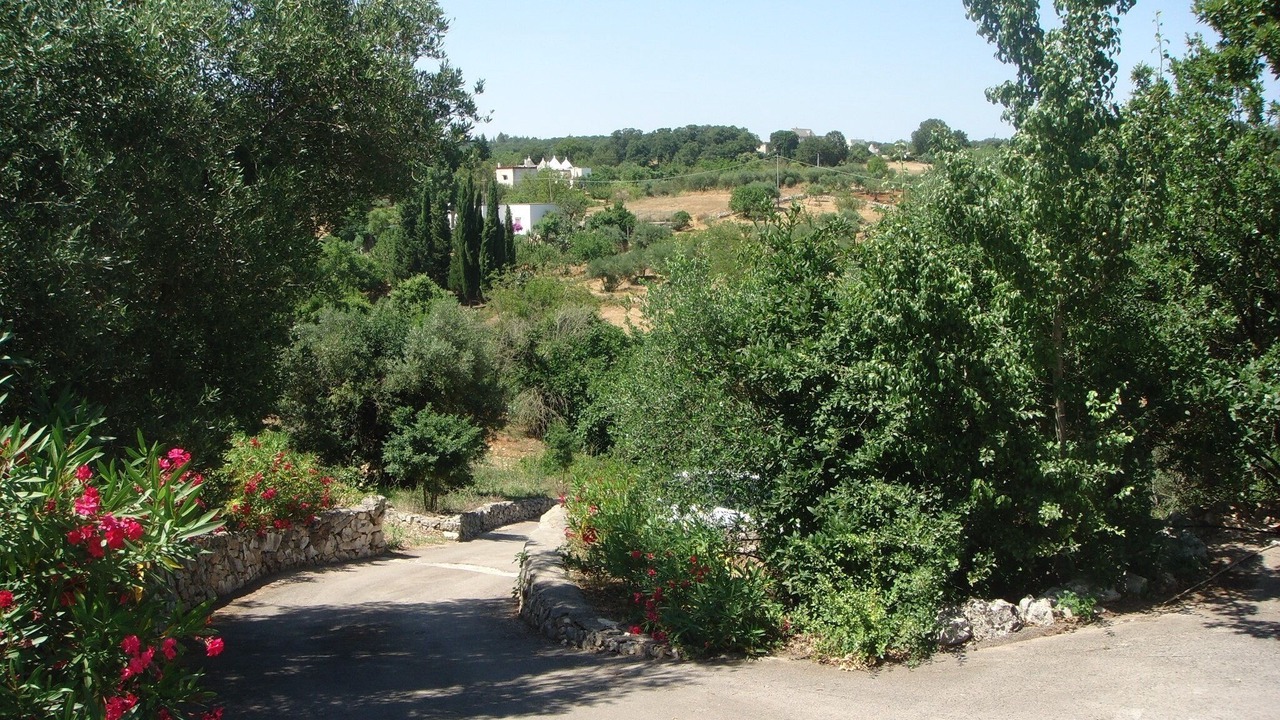 Photo of Outdoor in Martina Franca