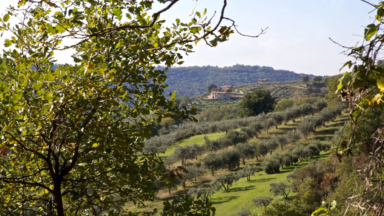 Photo of Outdoor in Gualdo Cattaneo