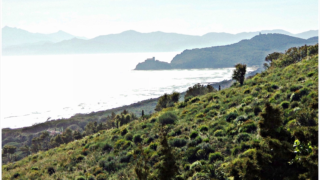 Photo of Others in Castiglione della Pescaia