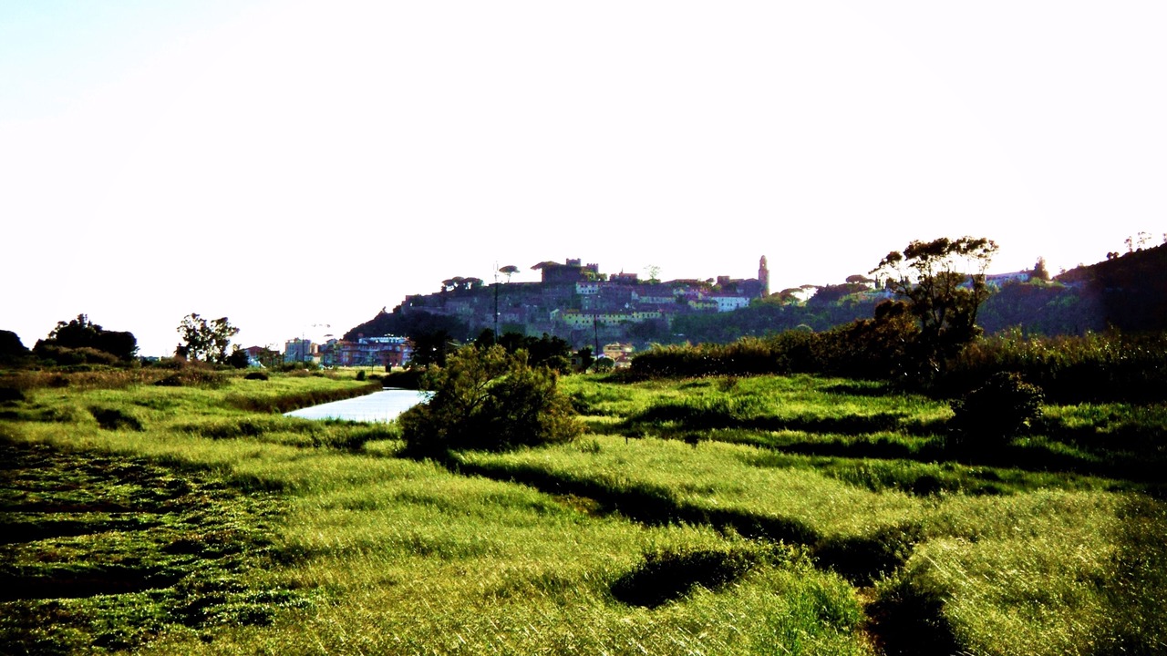Photo of Others in Castiglione della Pescaia