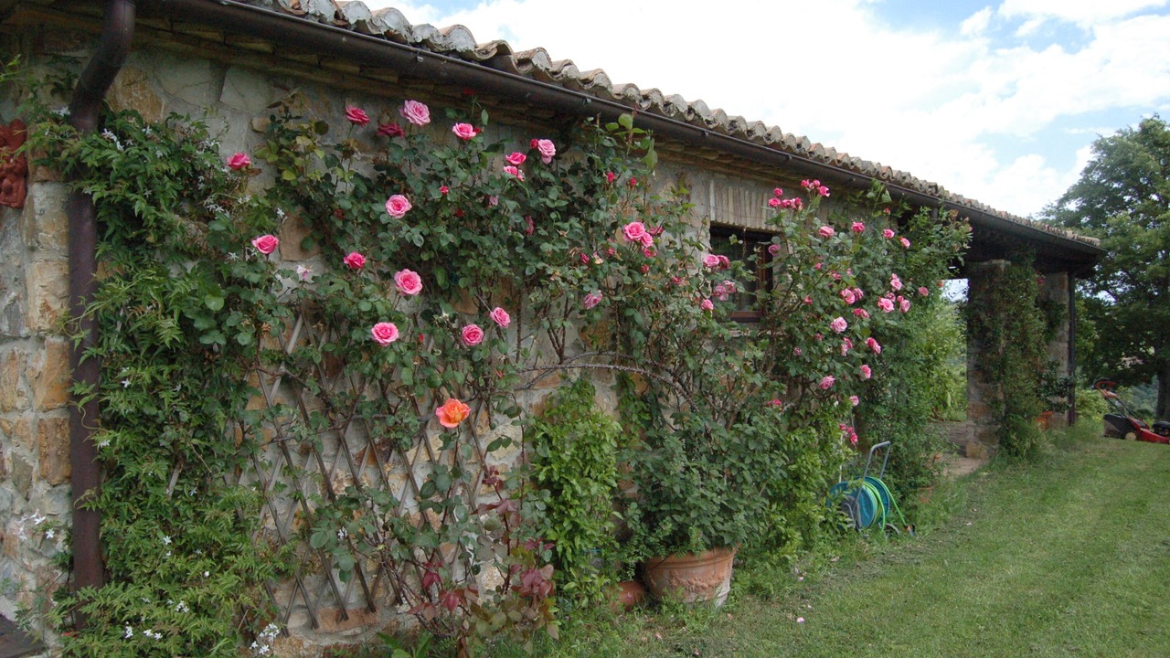 Photo of Outdoor in Manciano