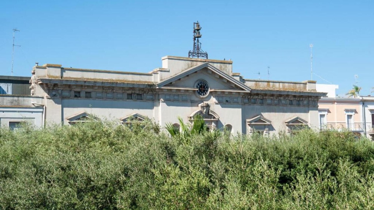 Photo of Others in Mola di Bari