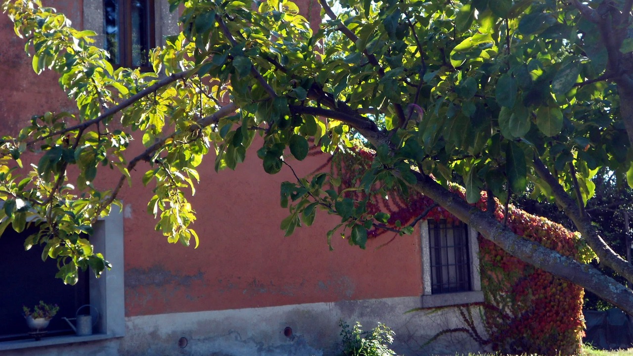 Photo of Outdoor in Viterbo