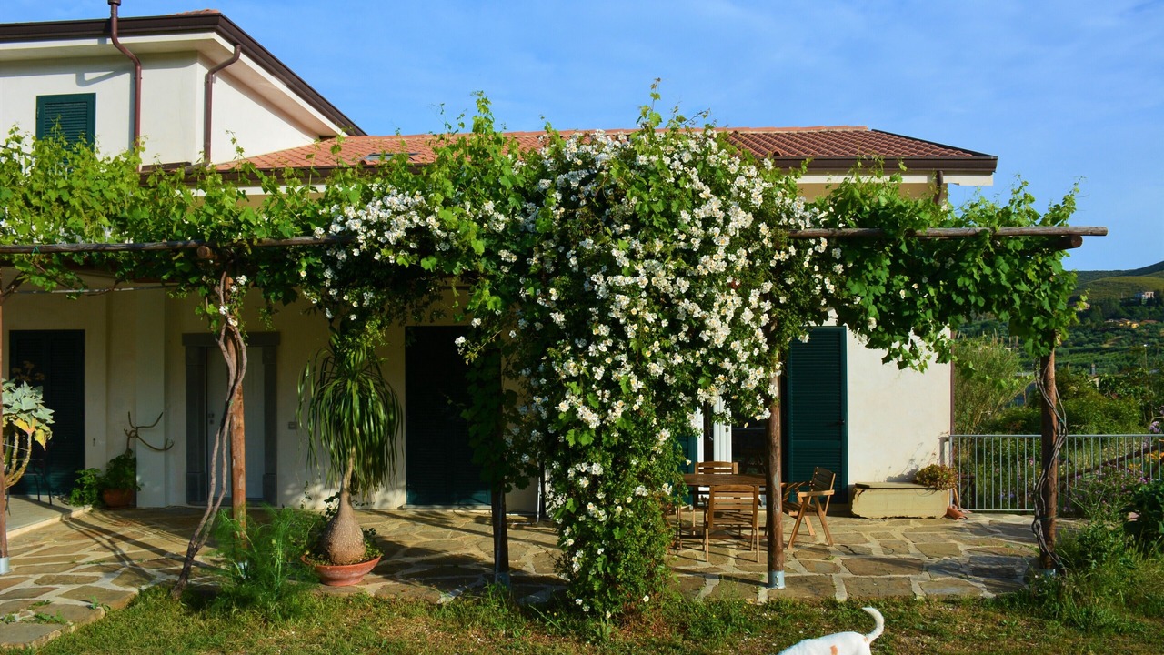 Photo of Outdoor in Alani