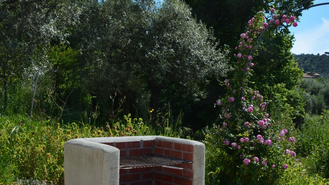 Photo of Outdoor in Alani