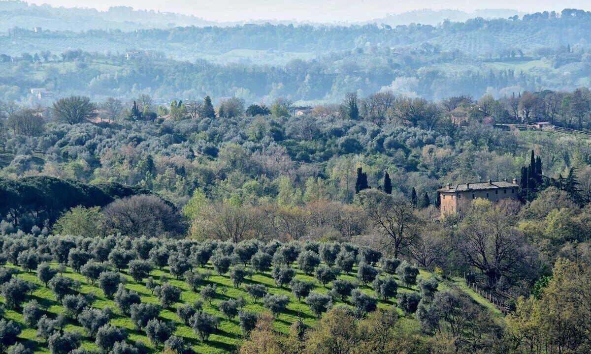 Photo of Outdoor in Casperia