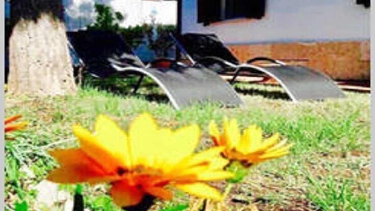 Photo of Outdoor in Latina Lido