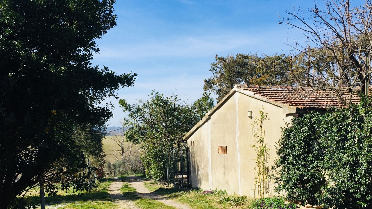 Photo of Outdoor in Orciano Pisano
