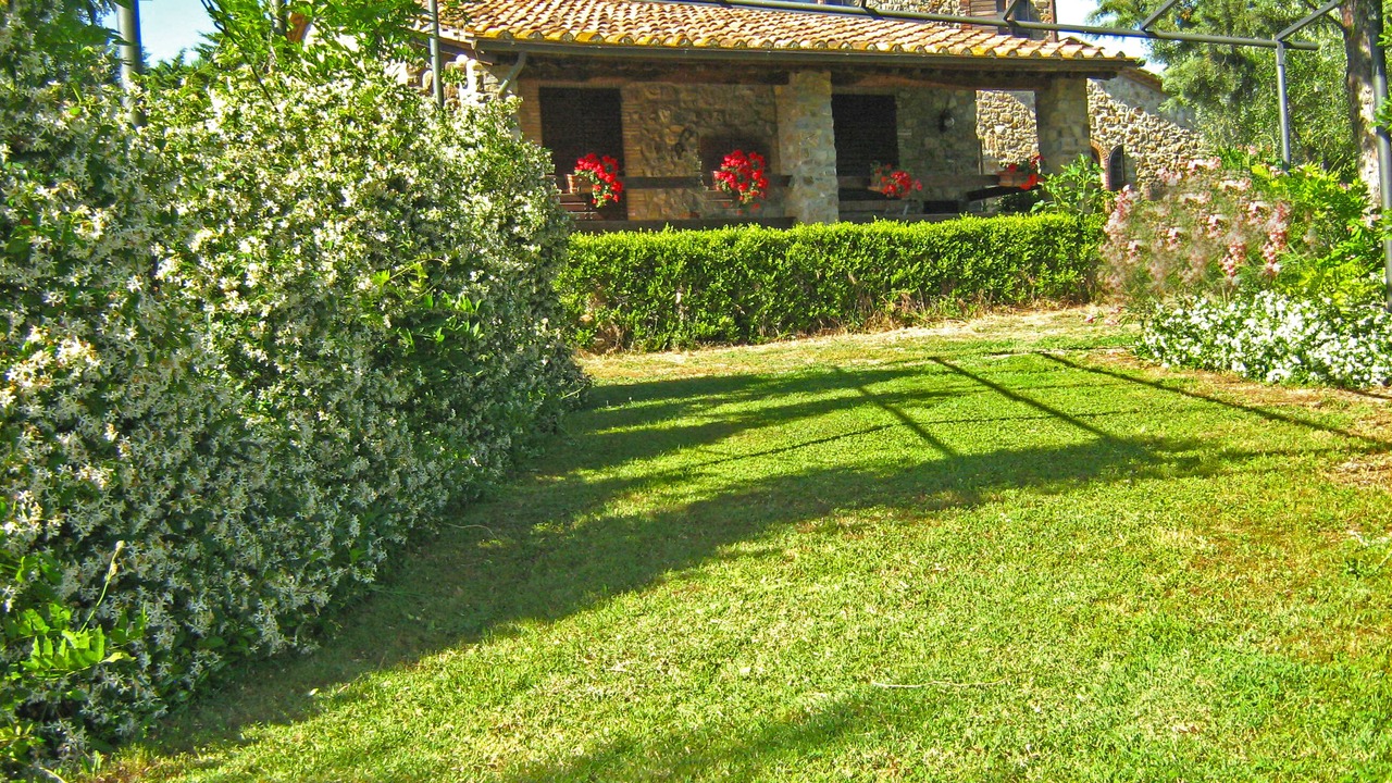 Photo of Outdoor in Campagnatico