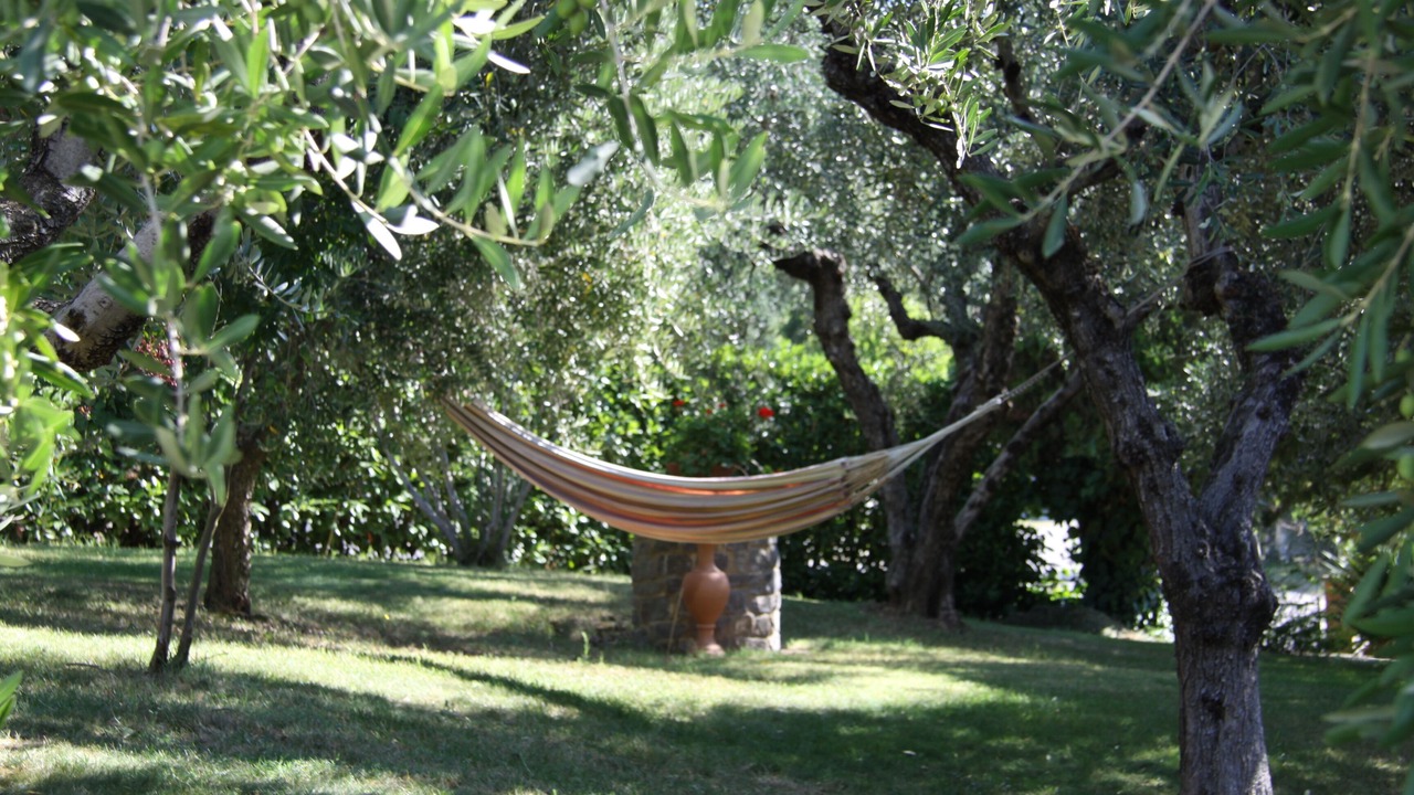 Photo of Outdoor in Casalini