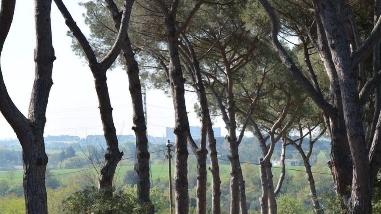 Photo of Outdoor in Zona LVIII Prima Porta