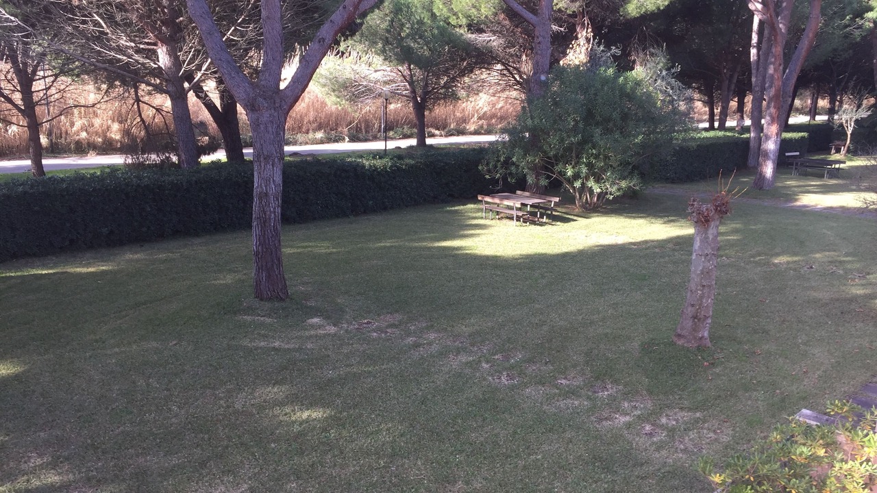 Photo of Outdoor in Principina a Mare