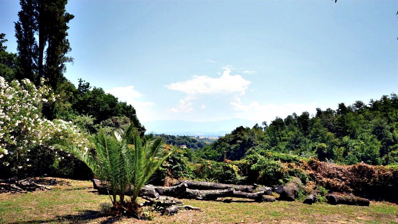 Photo of Outdoor in Castelnuovo di Porto