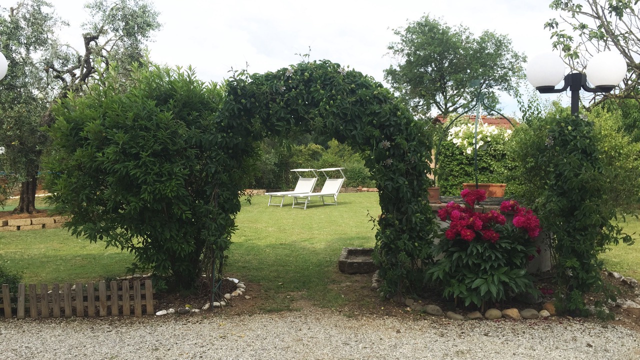 Photo of Outdoor in Orentano